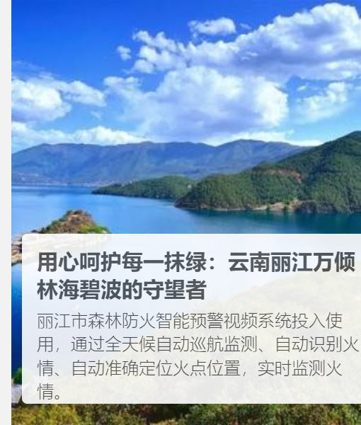 案例展示