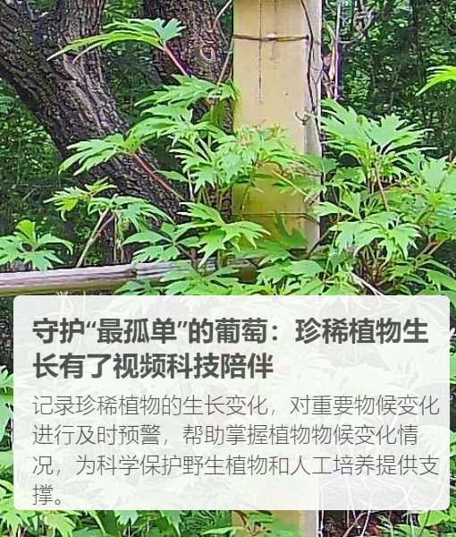 案例展示